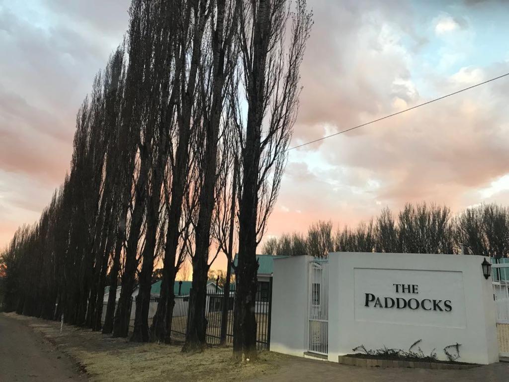 Place Paddocks 19 Clarens